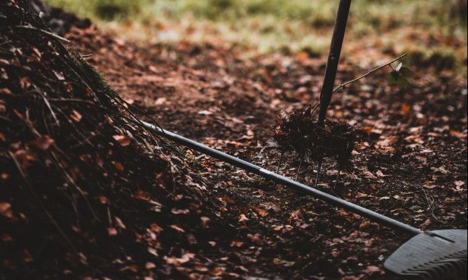 Materia orgánica aplilada para compost